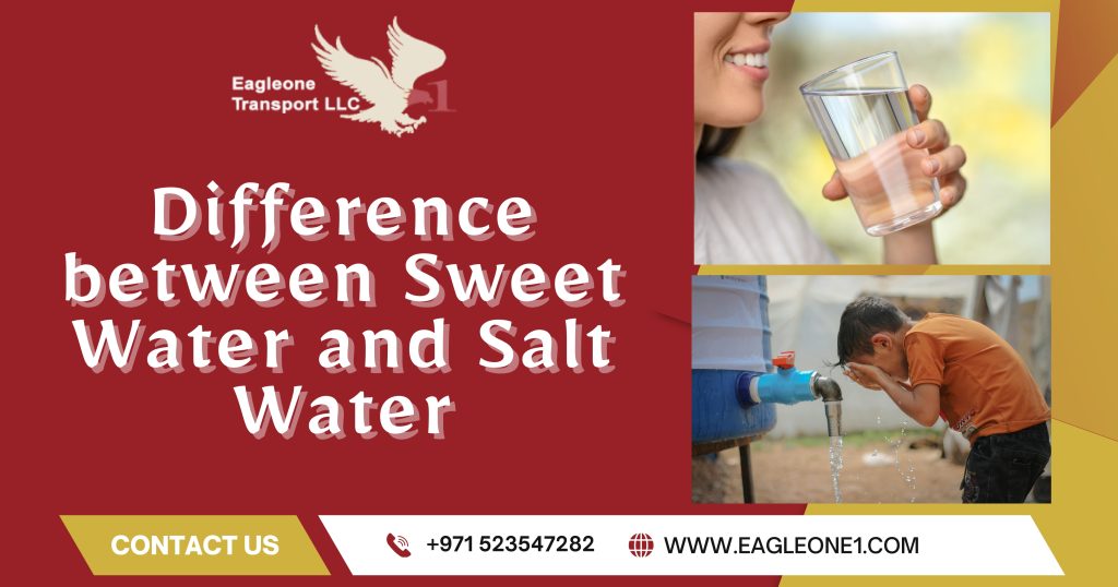 Difference between Sweet Water and Salt Water, and Why it Impacts Dubai’s Livelihood