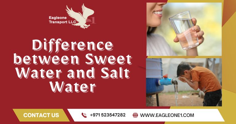 Difference between Sweet Water and Salt Water, and Why it Impacts Dubai’s Livelihood